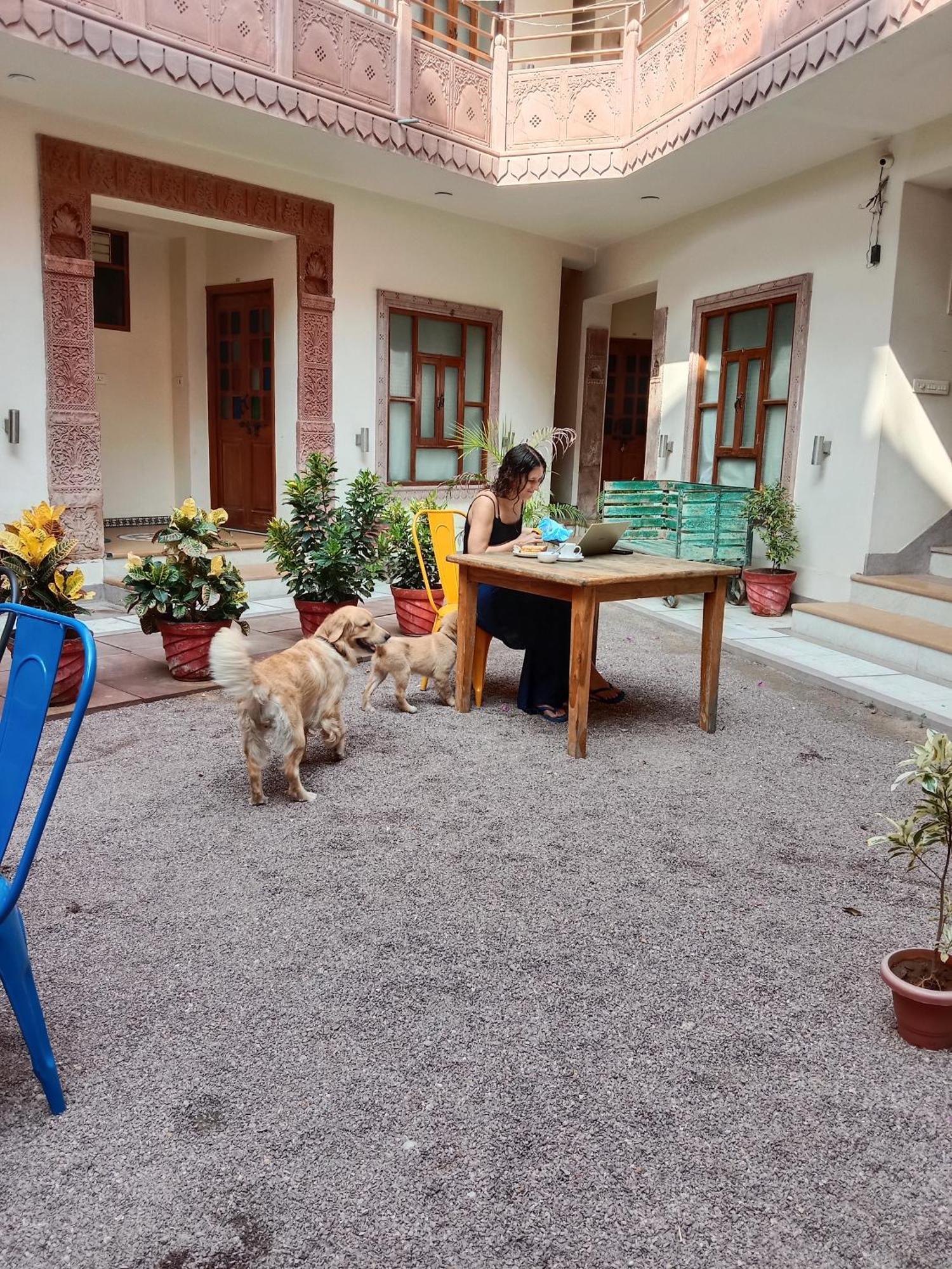 Rigmor Haveli Hotel Jodhpur  Bagian luar foto